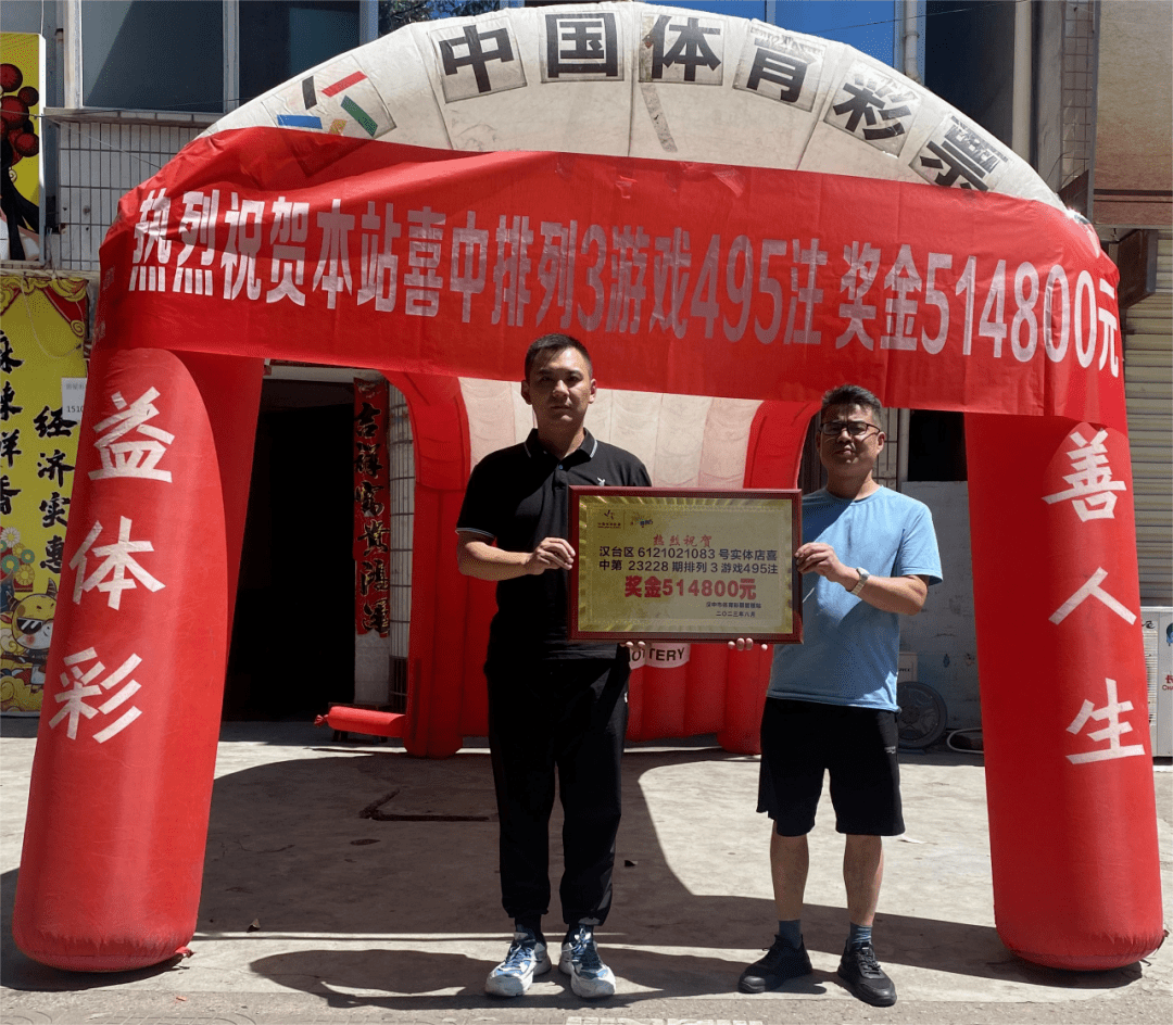 王中王资枓一肖中特，深度解析与SEO优化策略，王中王资枓一肖中特深度解析与SEO优化策略探讨