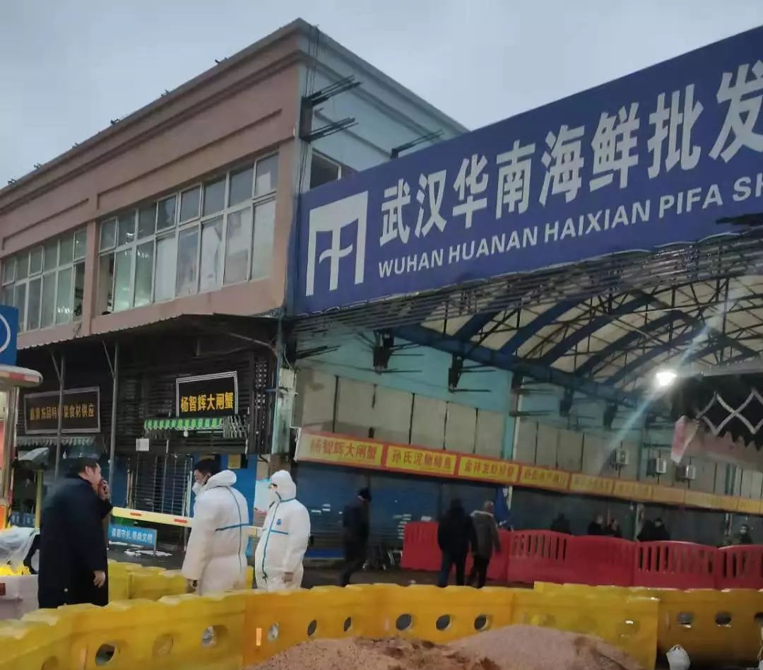 华南海鲜市场关闭事件，背后的原因与影响分析，华南海鲜市场关闭事件背后的原因及其影响分析