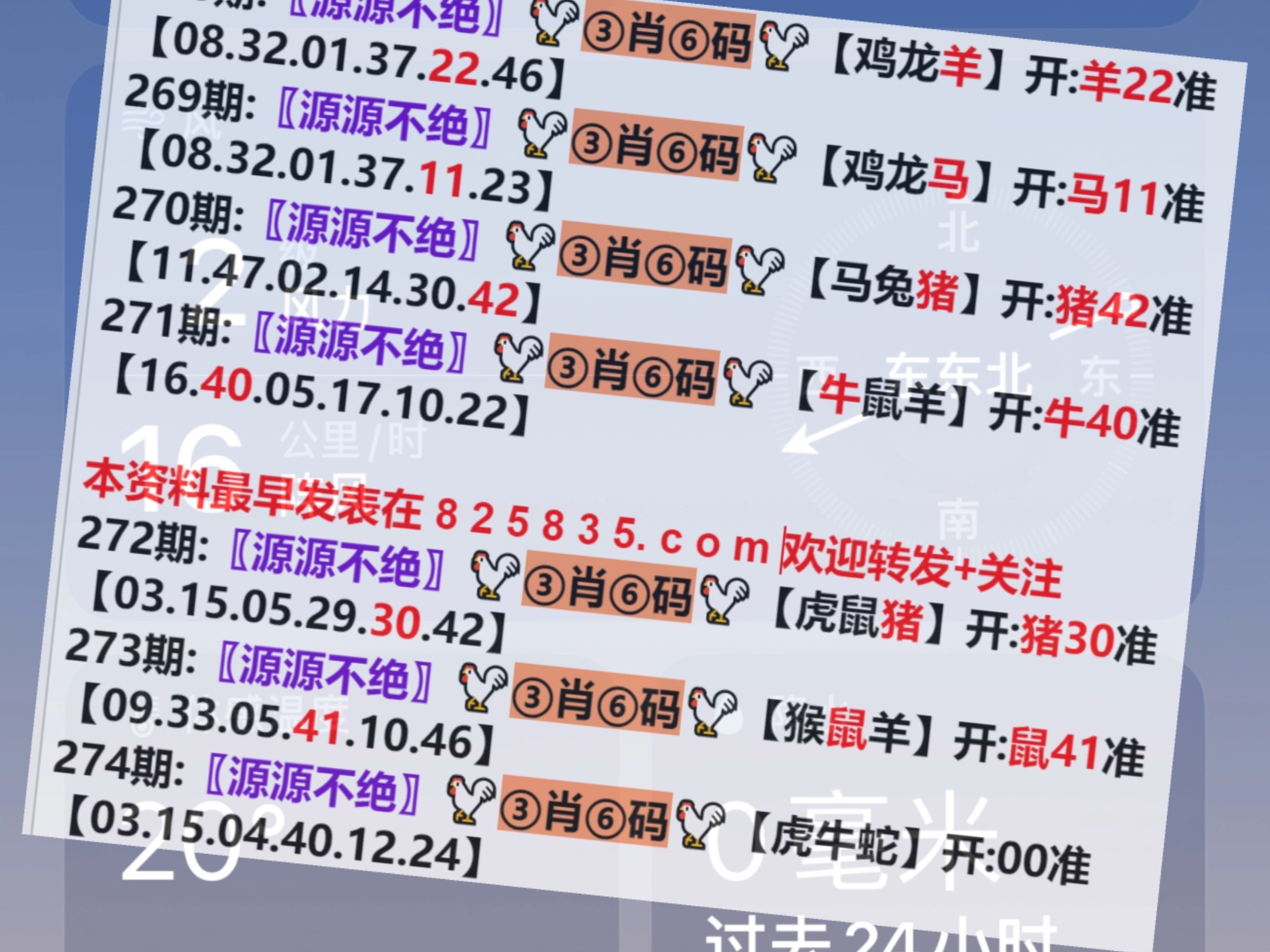 澳门一肖一码开奖结果详解，澳门一肖一码开奖结果深度解析