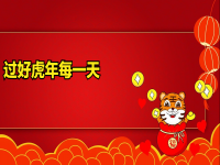 虎年最后一天，回顾与前瞻，虎年收官之际，回顾成就与展望未来