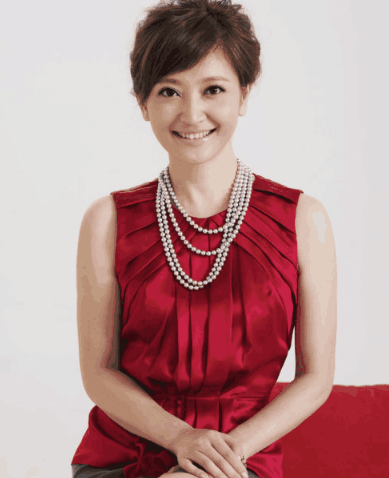 央视最漂亮的女主持人——优雅与才华并存的风采，央视女主持人风采，优雅与才华并存的最美女主持