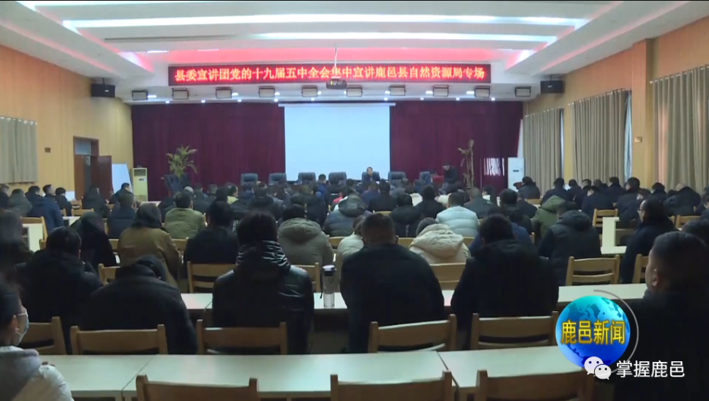 鹿邑今天重大新闻，鹿邑今日重大新闻速递