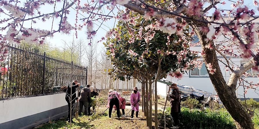 邳州市人民武装部官网，权威信息发布与军事服务综合平台，邳州市人民武装部官网，权威信息发布与军事服务综合平台