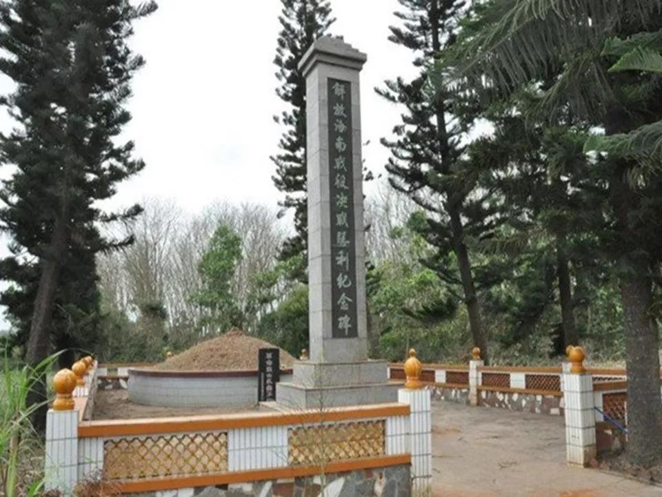 海南岛战役为什么失败，深度分析与反思，海南岛战役失败深度分析与反思