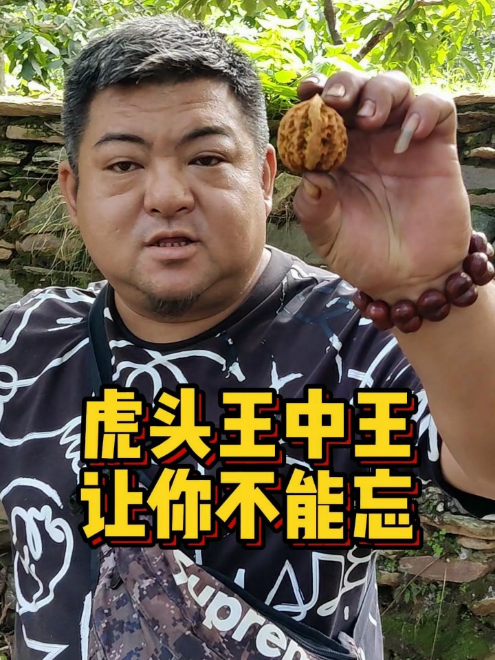 虎头王中王打一生肖，探寻生肖之王的神秘面纱，揭秘生肖之王虎头王中王的神秘面纱