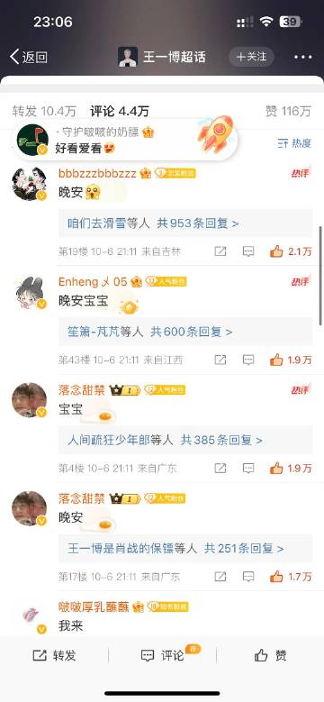 王中王一肖中特论坛铁板，深度解析与SEO优化策略，王中王一肖中特论坛铁板深度解析与SEO优化策略探讨